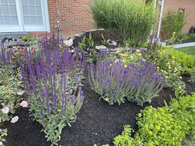 IMG_2854.jpeg