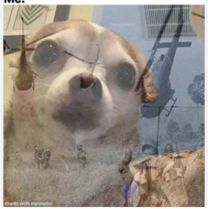 1724881682754.png