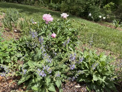 IMG_3344.jpeg