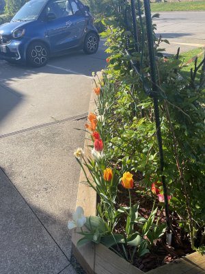 IMG_3575.jpeg