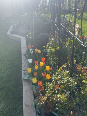 IMG_3591.jpeg