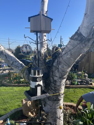 IMG_3631.jpeg