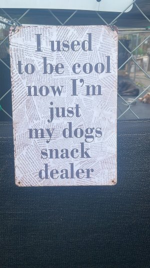 DAE4D455-D425-4A7A-8BA8-46820335BEAC.jpeg