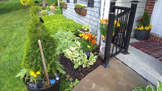 20250520_184521_resized_1.jpg