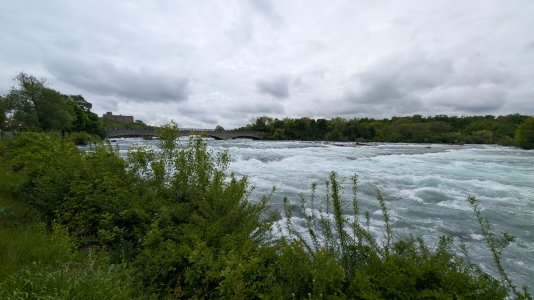 PXL_20250529_152504529.jpg