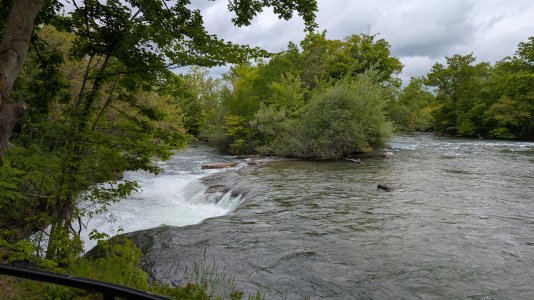 PXL_20250529_153932336.jpg