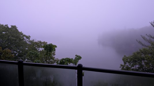PXL_20250526_090401475.jpg