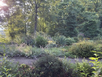 IMG_3437.jpeg