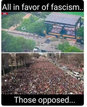 1750023449228.png