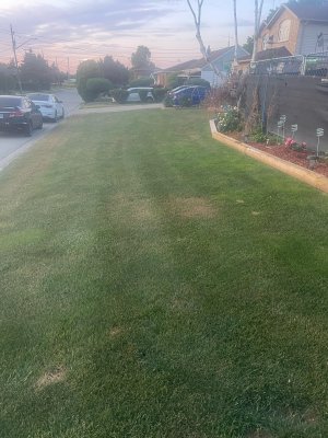 IMG_3968.jpeg
