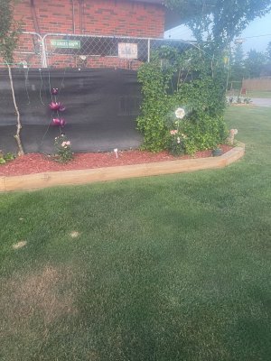 IMG_3971.jpeg