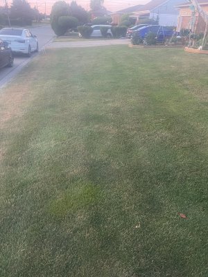 IMG_3972.jpeg