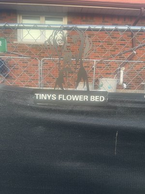 IMG_3976.jpeg
