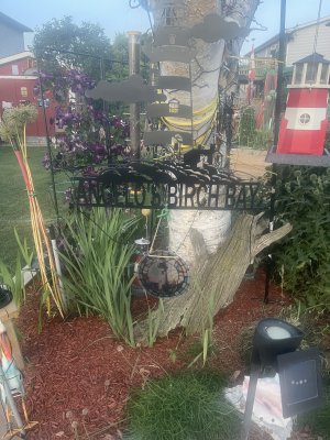 IMG_3986.jpeg