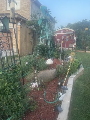 IMG_3996.jpeg
