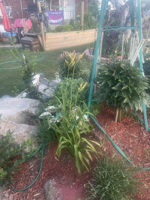 IMG_4003.jpeg