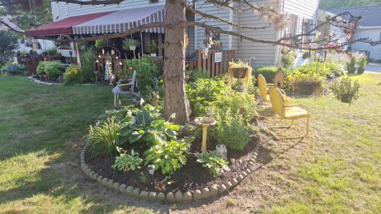 20250710_184253_resized_1.jpg