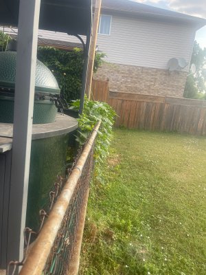 IMG_4212.jpeg