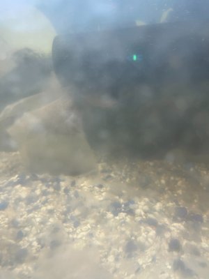 IMG_4234.JPG