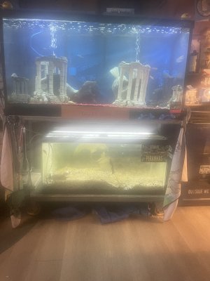 IMG_4244.jpeg
