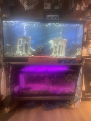 IMG_4243.jpeg