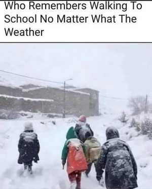1754228531316.png
