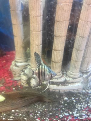 IMG_4496.jpeg