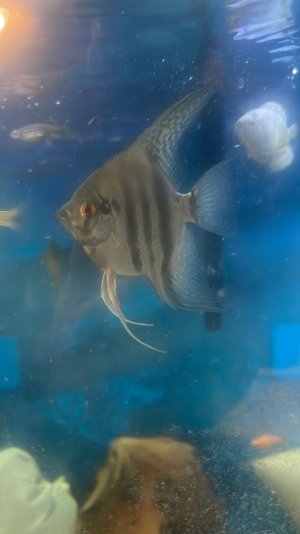 IMG_4757.JPG