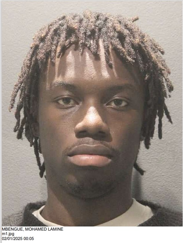 Mohamed Lamine Mbengue, 21, of Rockville, Maryland , was arrested on January 31 over the breach. He was booked into Arlington County Adult Detention Center but later released